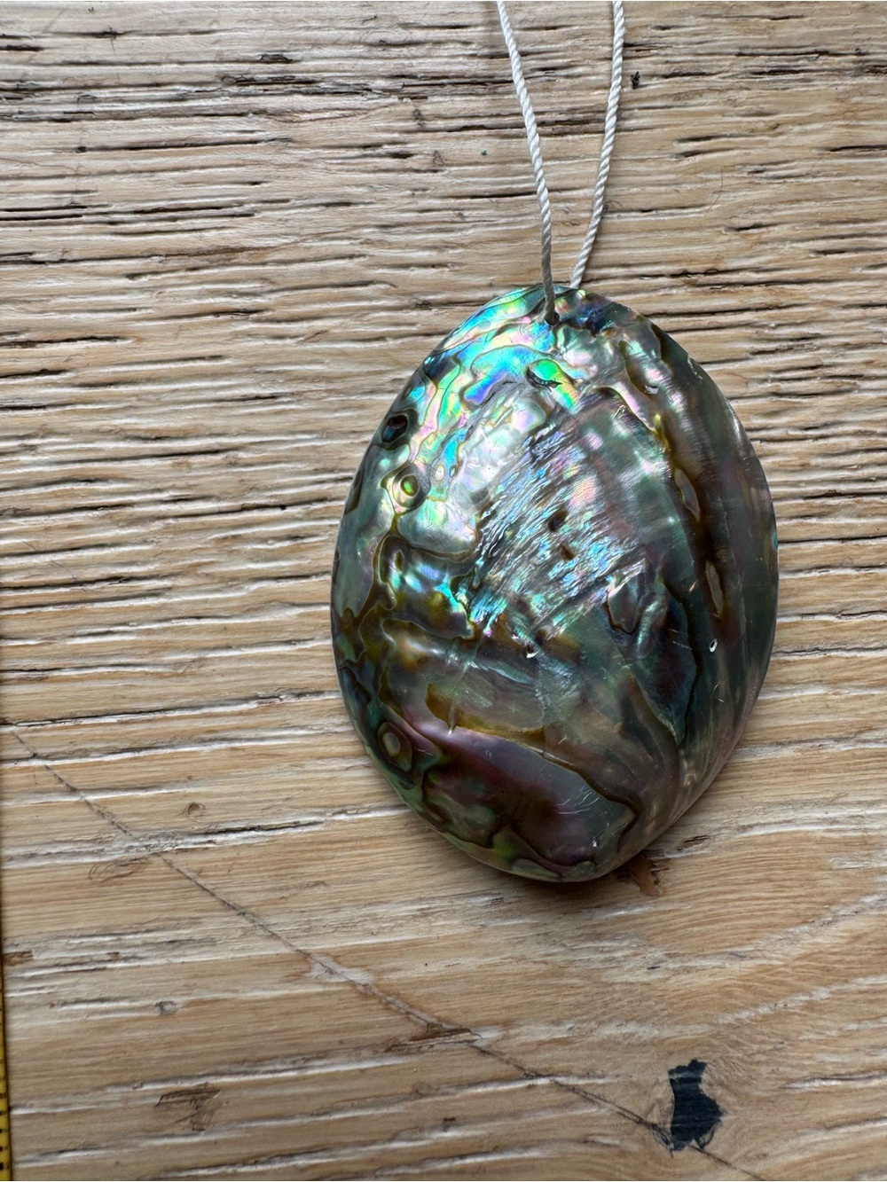 Paua Abalone Large RAINBOW Pendant NEW in Gift Box Price Firm!